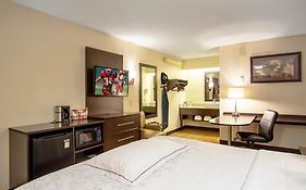 Red Roof Inn Plus+ St. Louis - Forest Park / Hampton Ave.